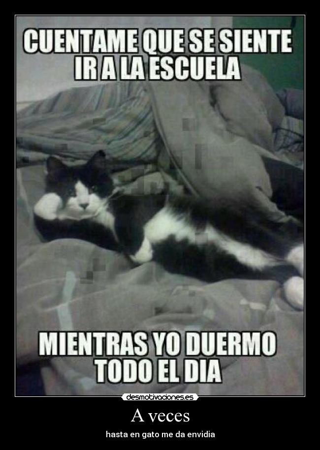 carteles que jode verdad desmotivaciones