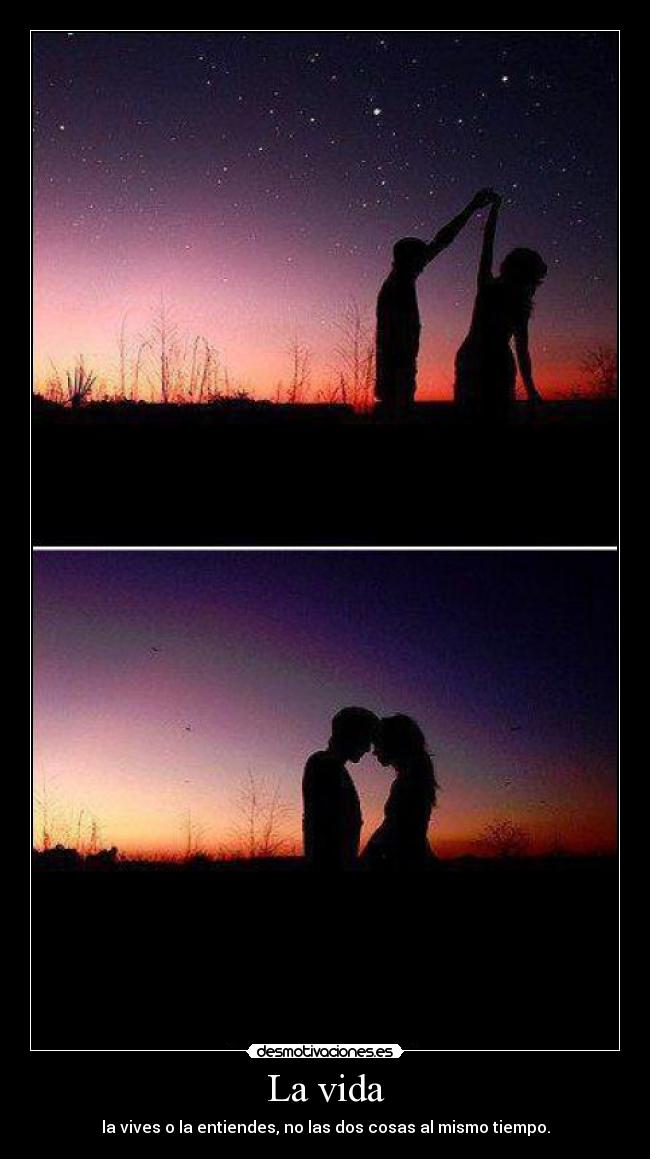 La vida - la vives o la entiendes, no las dos cosas al mismo tiempo.