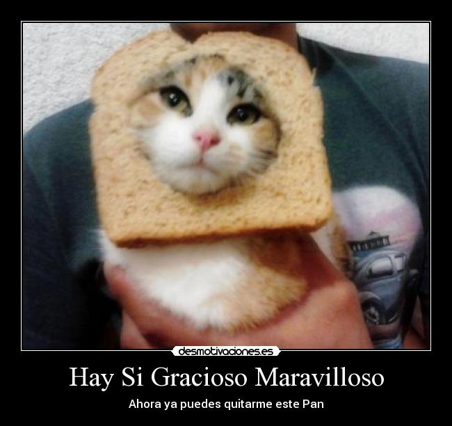 Hay Si Gracioso Maravilloso - Ahora ya puedes quitarme este Pan