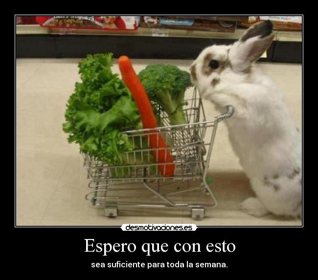 Espero que con esto - sea suficiente para toda la semana.