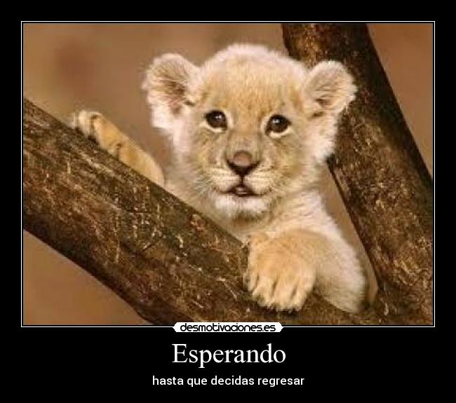 Esperando - hasta que decidas regresar