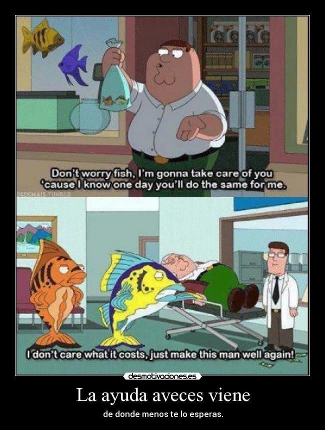 carteles ayuda pez family guy javprox111 desmotivaciones