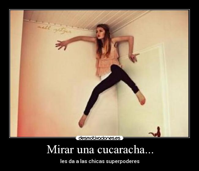 Mirar una cucaracha... -