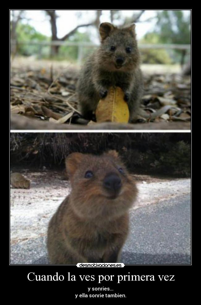 Cuando la ves por primera vez -