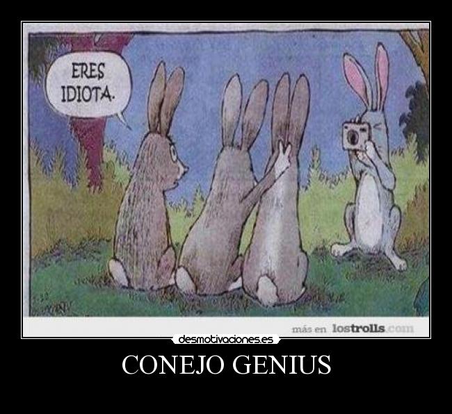 CONEJO GENIUS - 