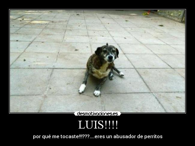 LUIS!!!! - por qué me tocaste!!!???....eres un abusador de perritos
