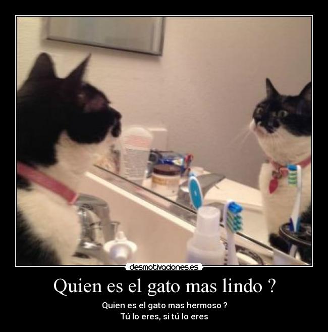 im-genes-y-carteles-de-tgtgtg-desmotivaciones