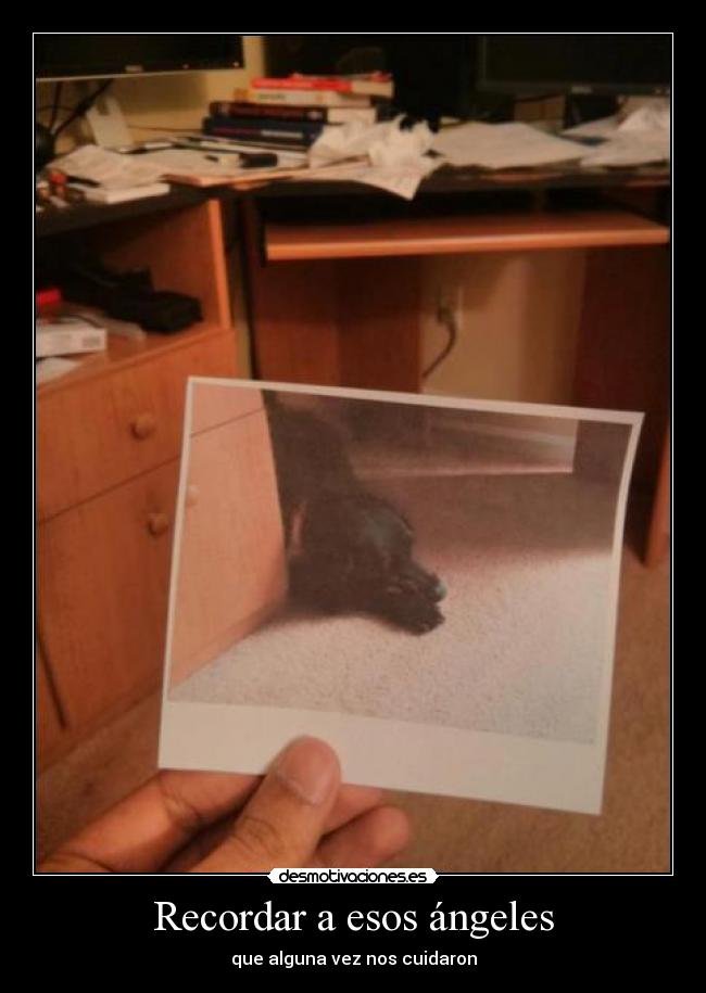 Recordar a esos ángeles -