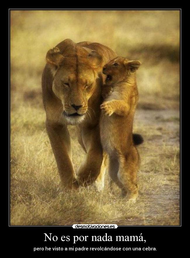 No es por nada mamá, -