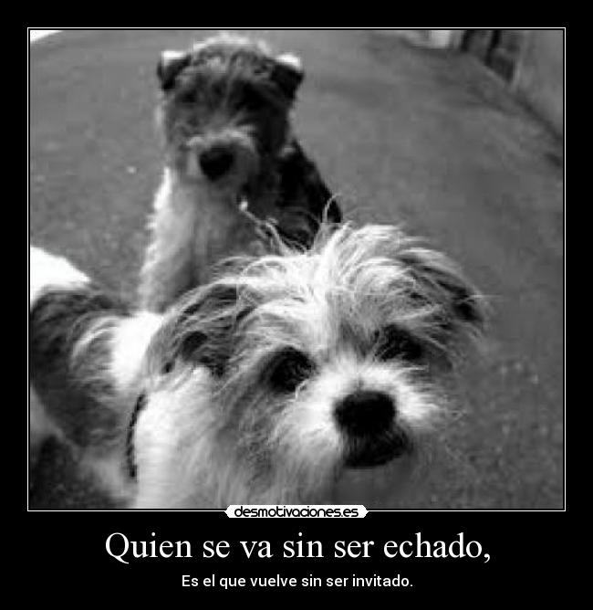 Quien se va sin ser echado, -