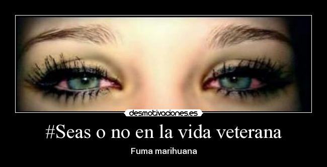 #Seas o no en la vida veterana - Fuma marihuana
