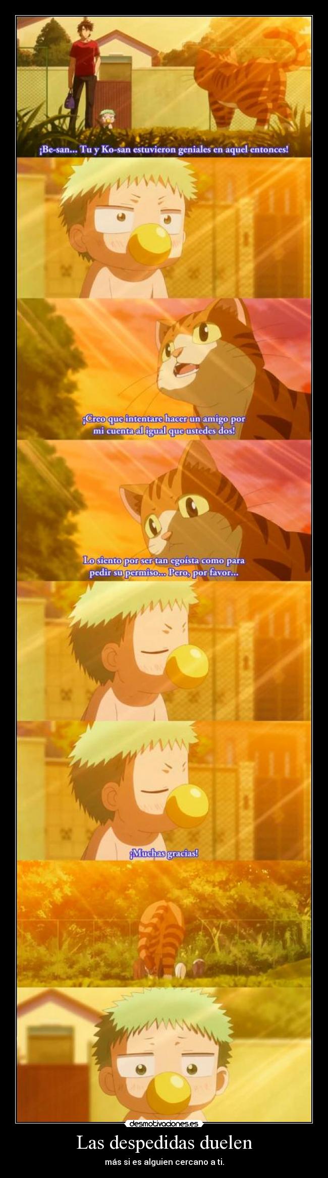 Las despedidas duelen - más si es alguien cercano a ti.