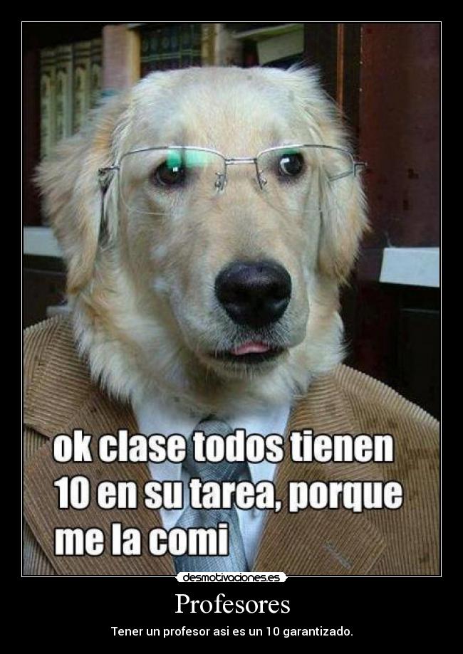 Profesores - Tener un profesor asi es un 10 garantizado.
