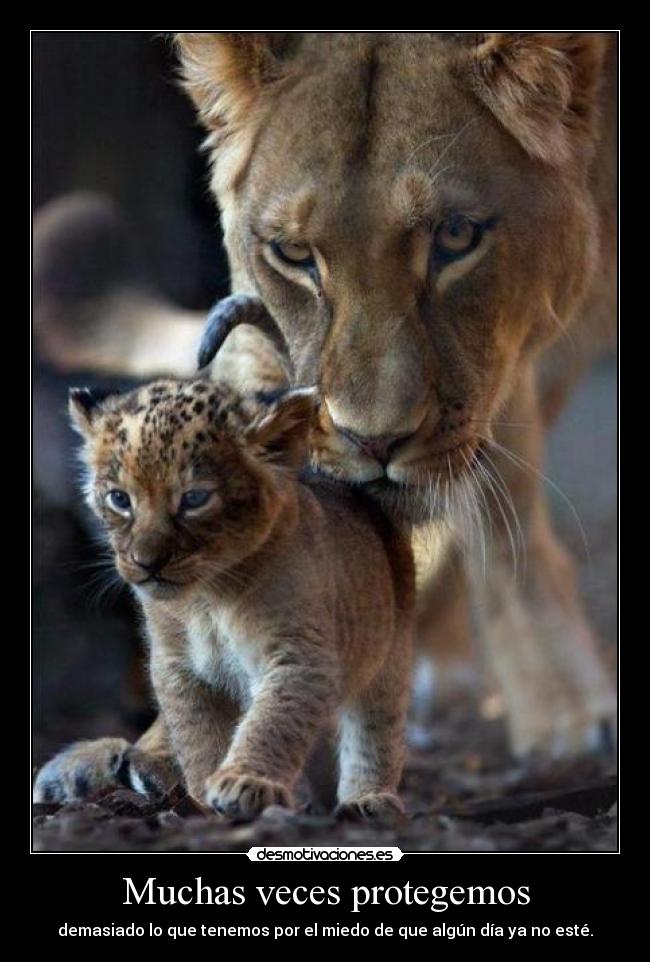 Muchas veces protegemos - demasiado lo que tenemos por el miedo de que algún día ya no esté.