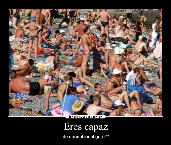 Eres capaz - de encontrar al gato??