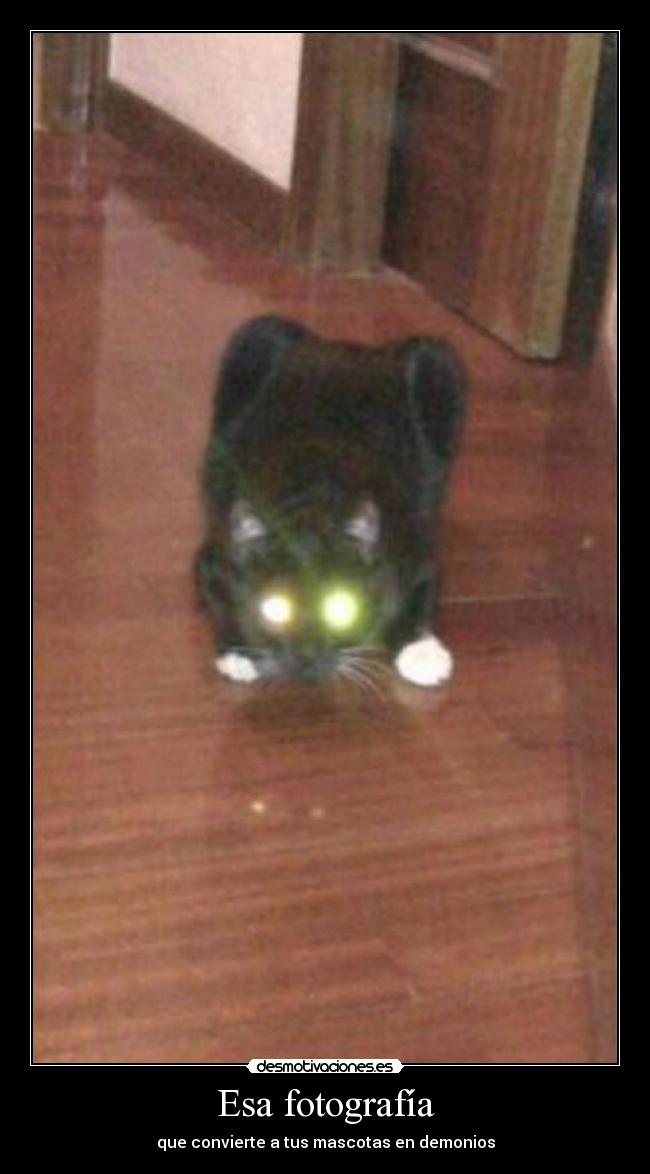 Esa fotografía - que convierte a tus mascotas en demonios