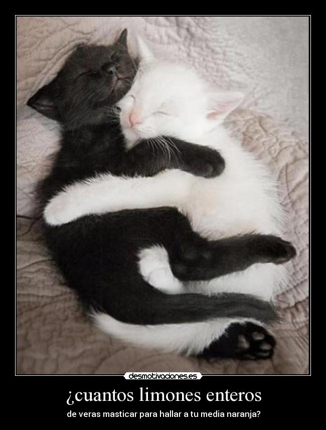 ¿cuantos limones enteros -