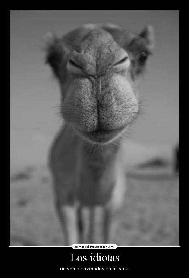 Los idiotas - no son bienvenidos en mi vida.