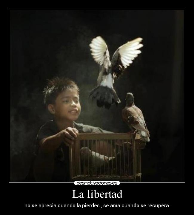 La libertad - no se aprecia cuando la pierdes , se ama cuando se recupera.
