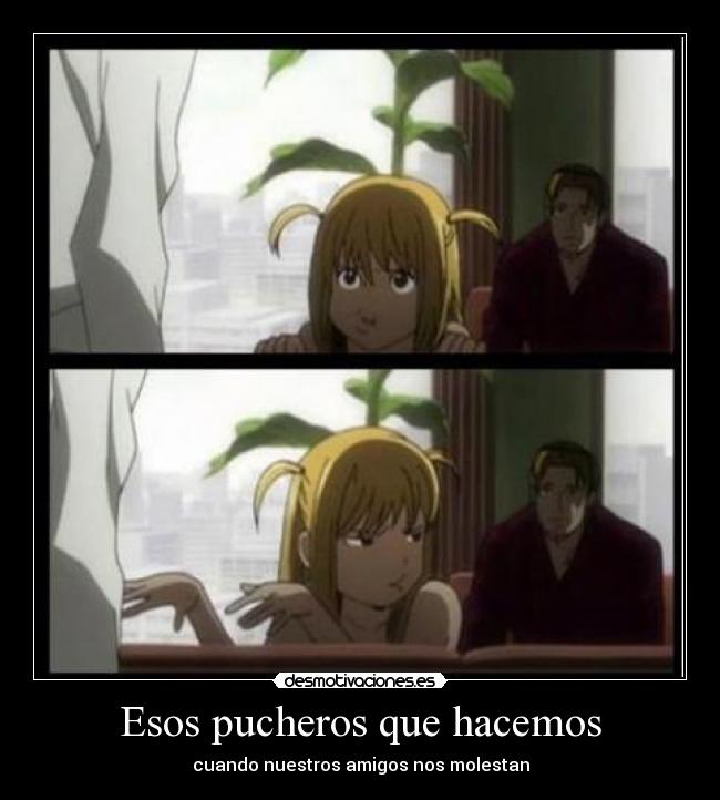 carteles pucheros hacemos nuestros amigos molestan misa amane death note desmotivaciones