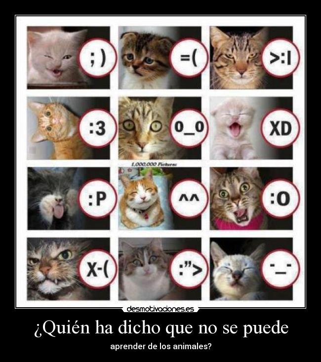 ¿Quién ha dicho que no se puede -