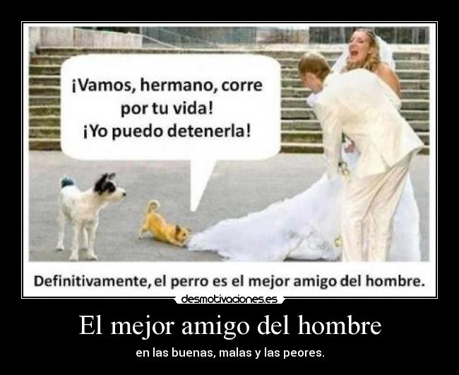 El mejor amigo del hombre - en las buenas, malas y las peores.