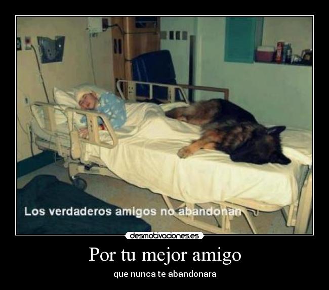 carteles todoss desmotivaciones