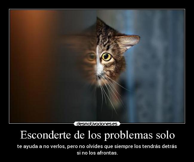 Esconderte de los problemas solo - te ayuda a no verlos, pero no olvides que siempre los tendrás detrás
si no los afrontas.