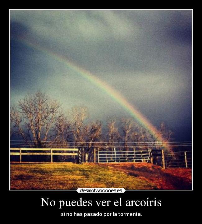 carteles somewhere over the rainbow forever penguin santi desmotivaciones