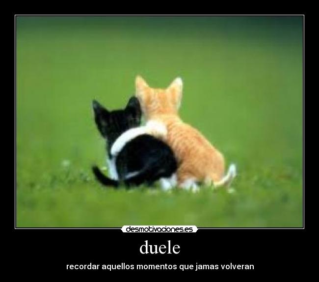 carteles duele desmotivaciones