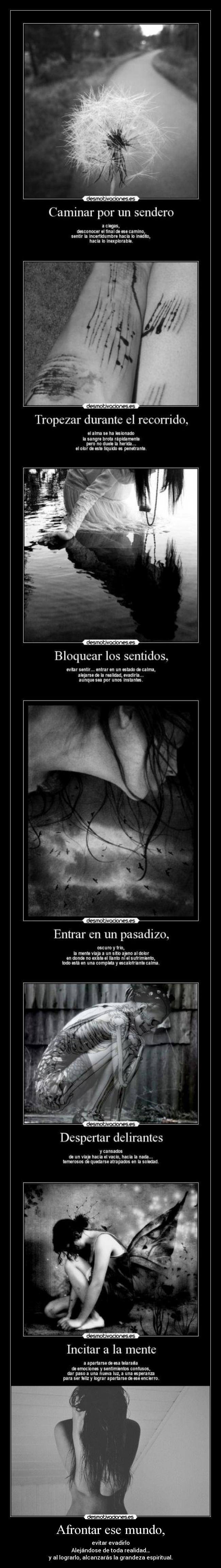 Afrontar ese mundo, - evitar evadirlo
Alejándose de toda realidad…
y al lograrlo, alcanzarás la grandeza espiritual.