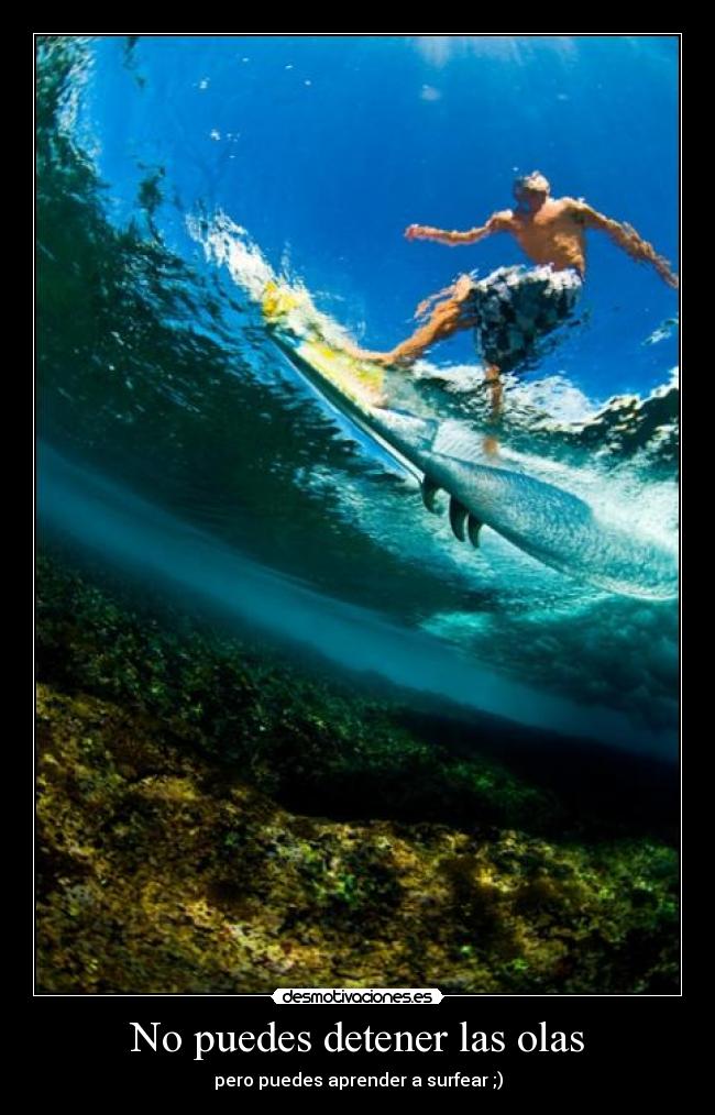 carteles vida como surf desmotivaciones