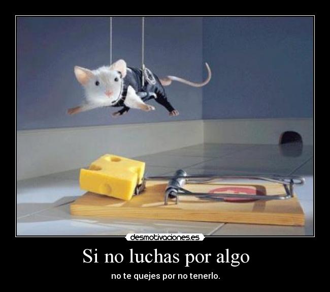 Si no luchas por algo - no te quejes por no tenerlo.