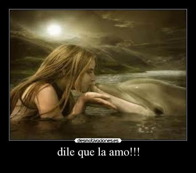 carteles principe desmotivaciones