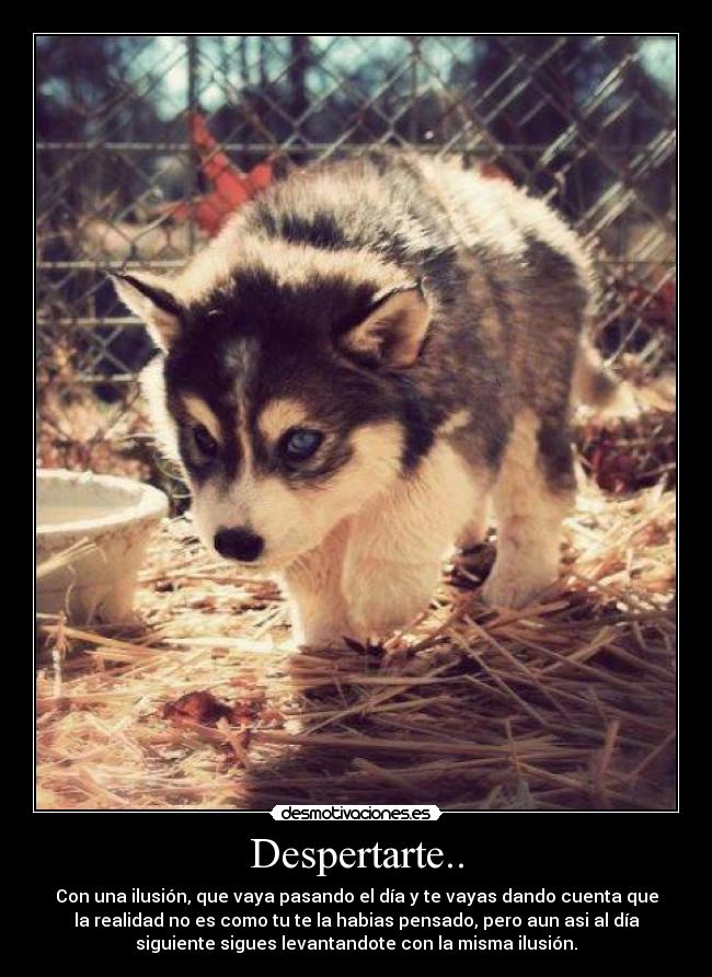 carteles ilusion desmotivaciones