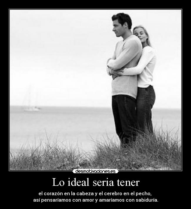 Lo ideal seria tener - 