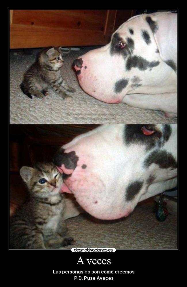 A veces - Las personas no son como creemos
P.D. Puse Aveces