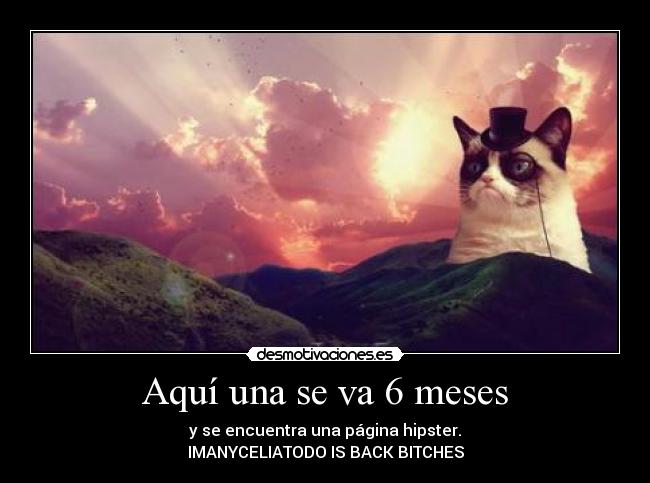 Aquí una se va 6 meses - y se encuentra una página hipster.
IMANYCELIATODO IS BACK BITCHES