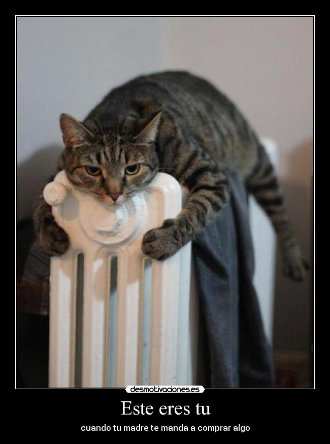 Este eres tu - cuando tu madre te manda a comprar algo