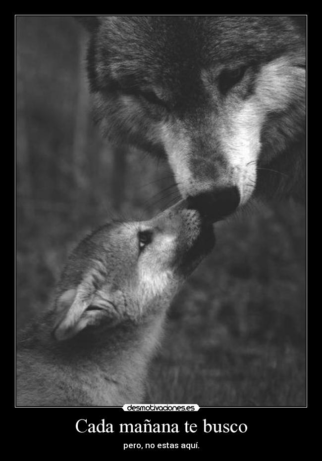 Cada mañana te busco -