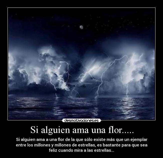 Si alguien ama una flor..... - 