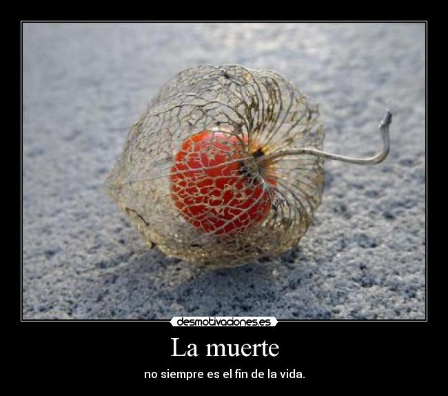 La muerte - no siempre es el fin de la vida.
