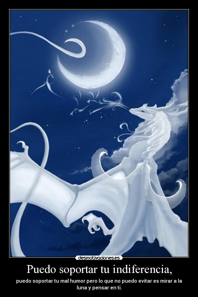 carteles anime manga amor dragon luna desmotivaciones