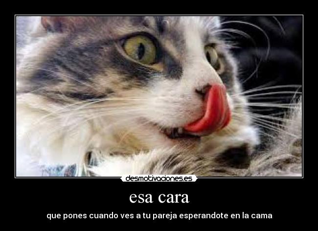 esa cara - que pones cuando ves a tu pareja esperandote en la cama