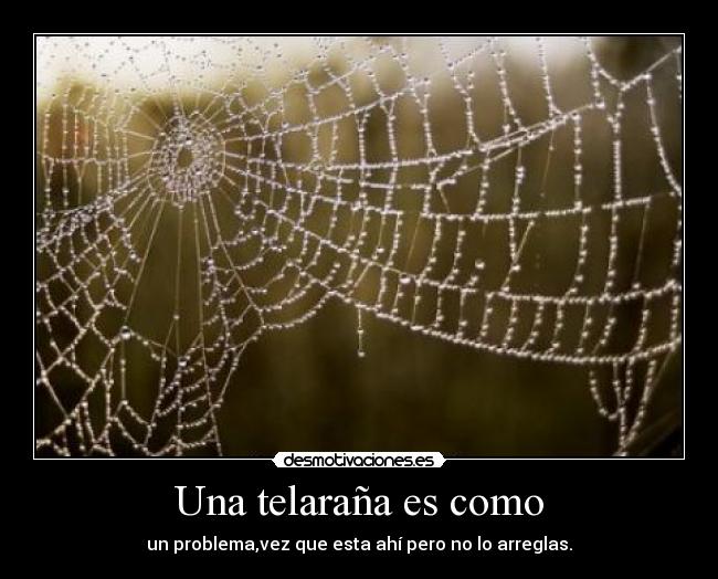 Una telaraña es como - un problema,vez que esta ahí pero no lo arreglas.