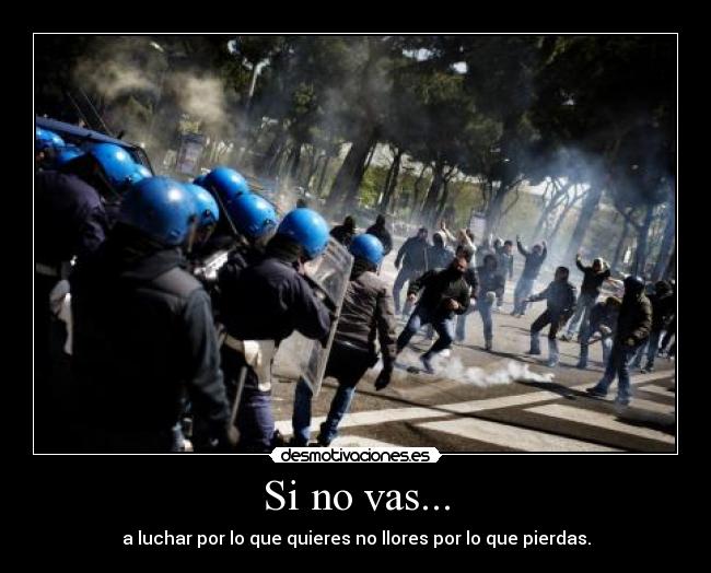 carteles belkin desmotivaciones