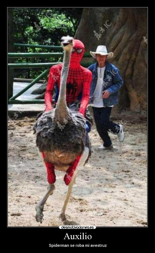 carteles spiderman maycartel kiere pelea roba desmotivaciones