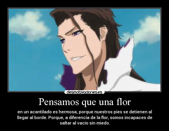 carteles desmotivaciones anime bleach desmotivaciones
