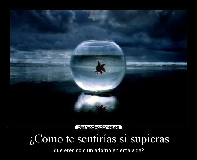 ¿Cómo te sentirías si supieras - que eres solo un adorno en esta vida?