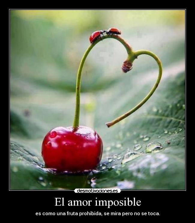 El amor imposible - es como una fruta prohibida, se mira pero no se toca.